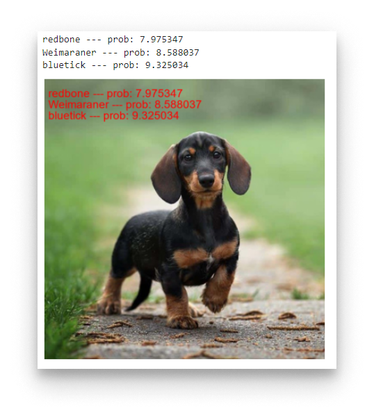 Jupyter Notebook - Dog Result