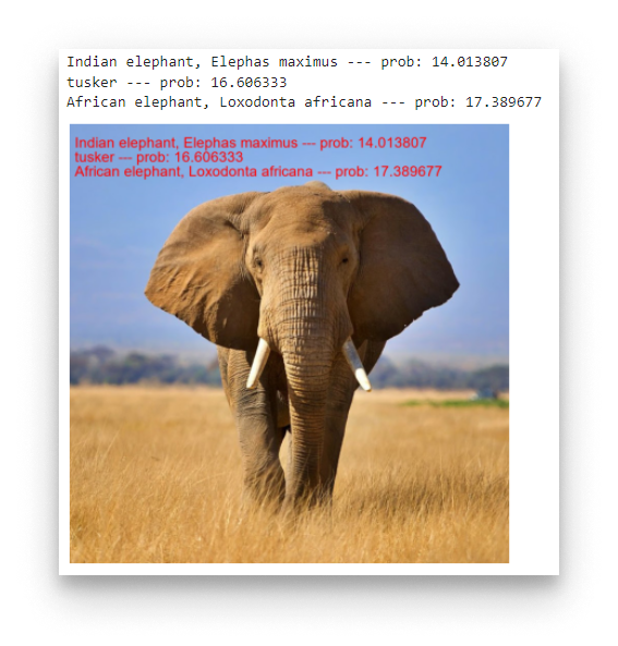 Jupyter Notebook - Elephant Result