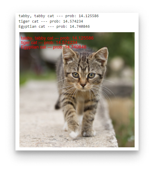 Jupyter Notebook - Kitten Result